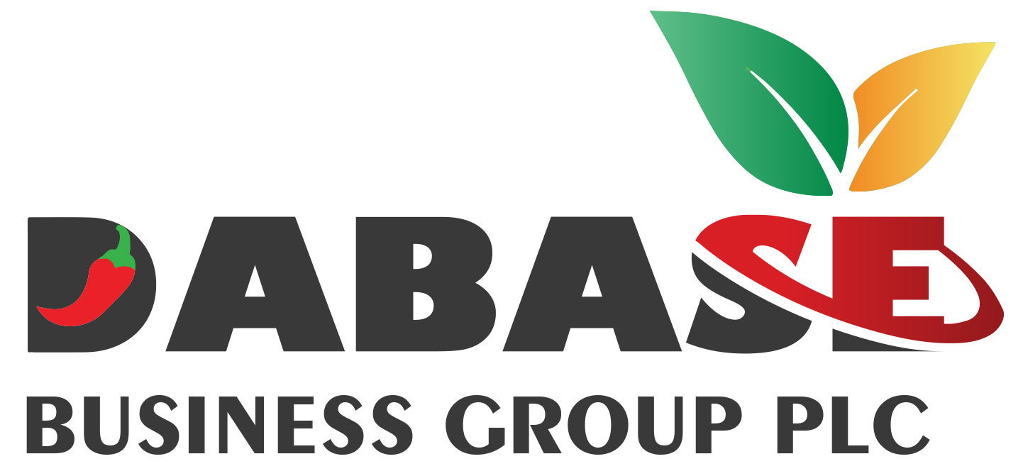 DABASE BUSINESS GROUPS PLC