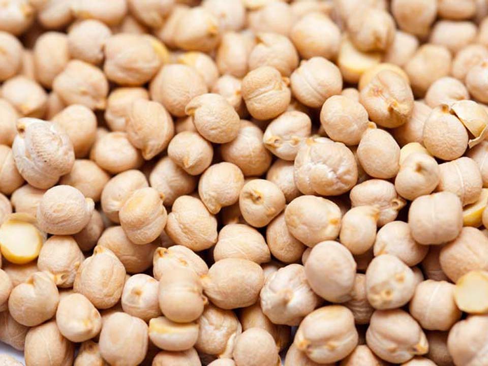 Kabuli Chickpeas