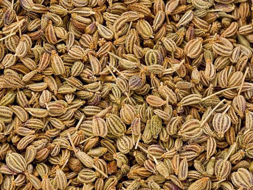 Ajwain