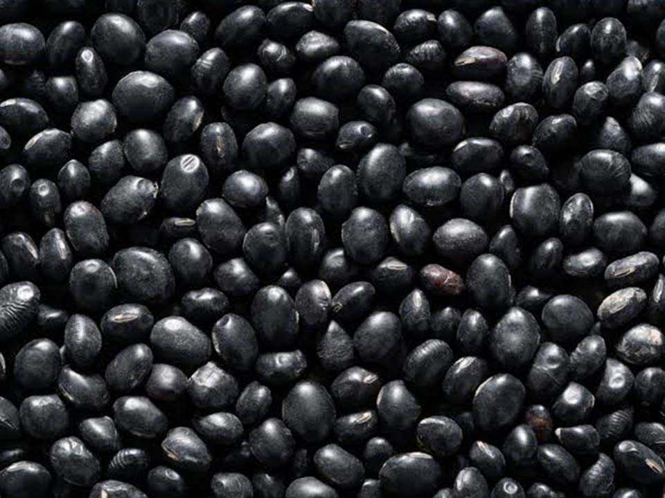 Black Beans