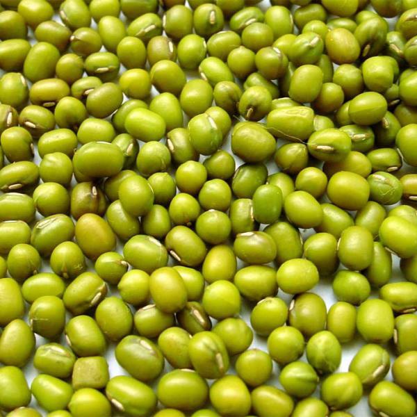 Green Mung Beans