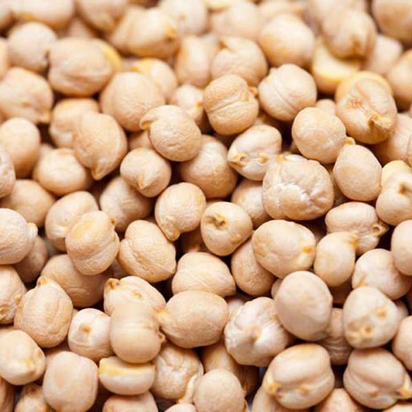 Kabuli Chickpeas