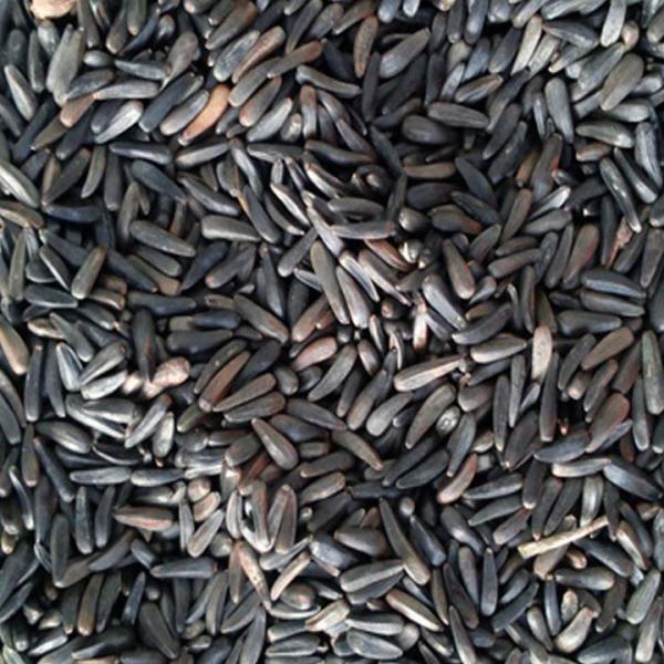 Niger Seed