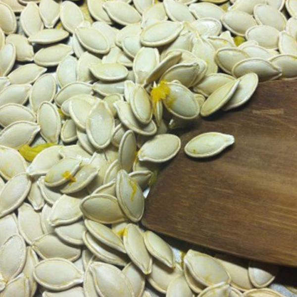 Pumpkin Seed