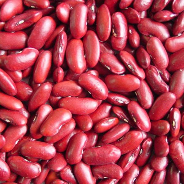 Red Kidney Beans